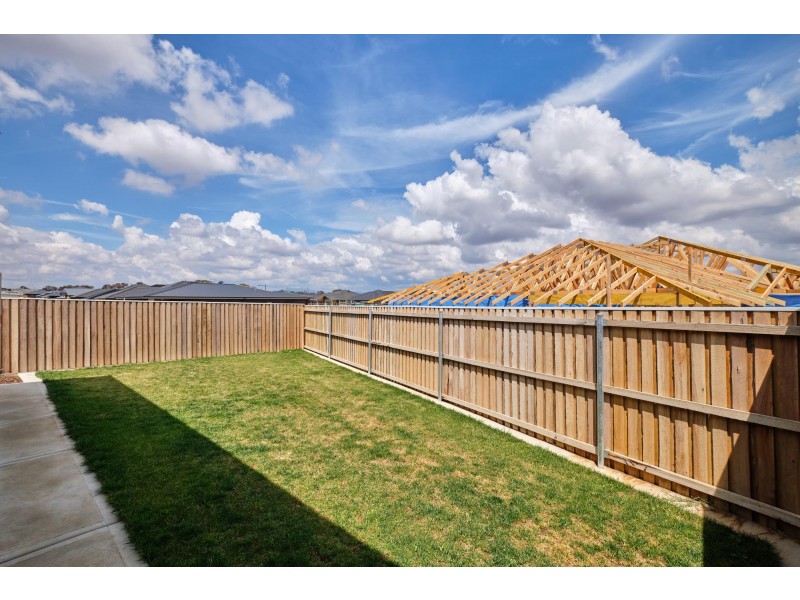 97 Lionel Rose Street, Holt ACT 2615