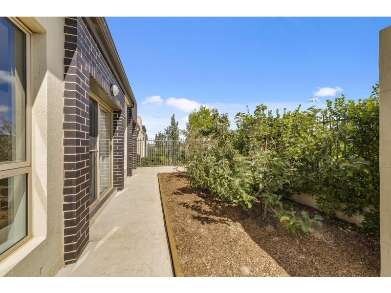 12 Macandie Street, Casey ACT 2913