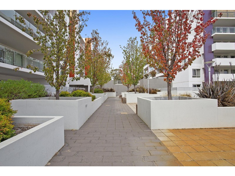 305/80 Chandler Street, Belconnen ACT 2617