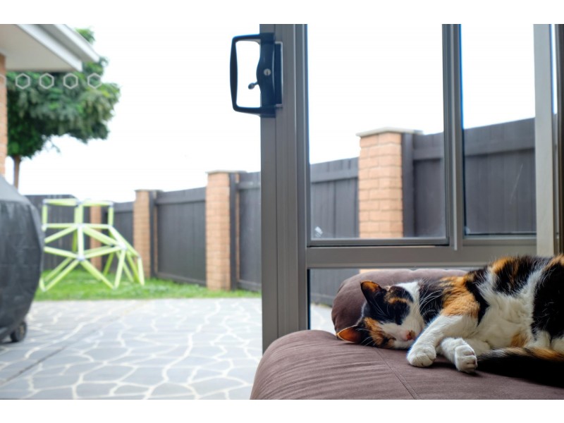 23 Victor Chang Street, Macgregor ACT 2615