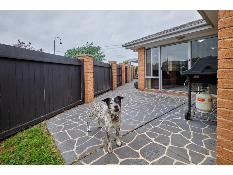 23 Victor Chang Street, Macgregor ACT 2615