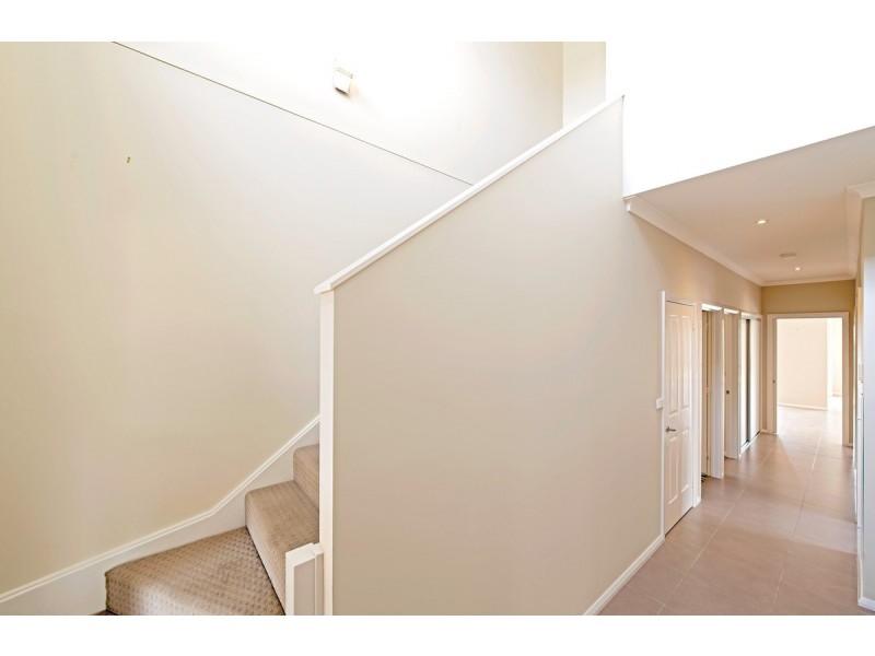 55 Paquita Street, Forde ACT 2914