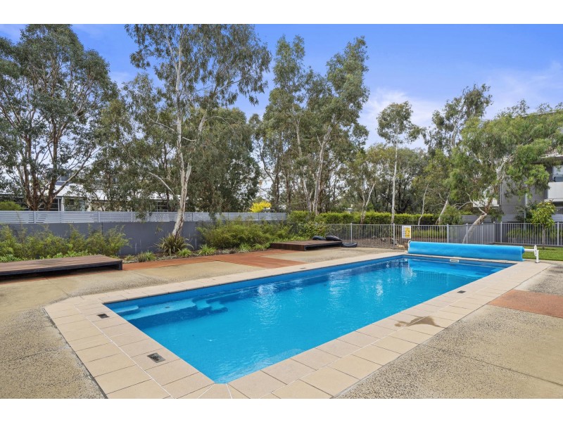 72/8 Baudinette Circuit, Bruce ACT 2617