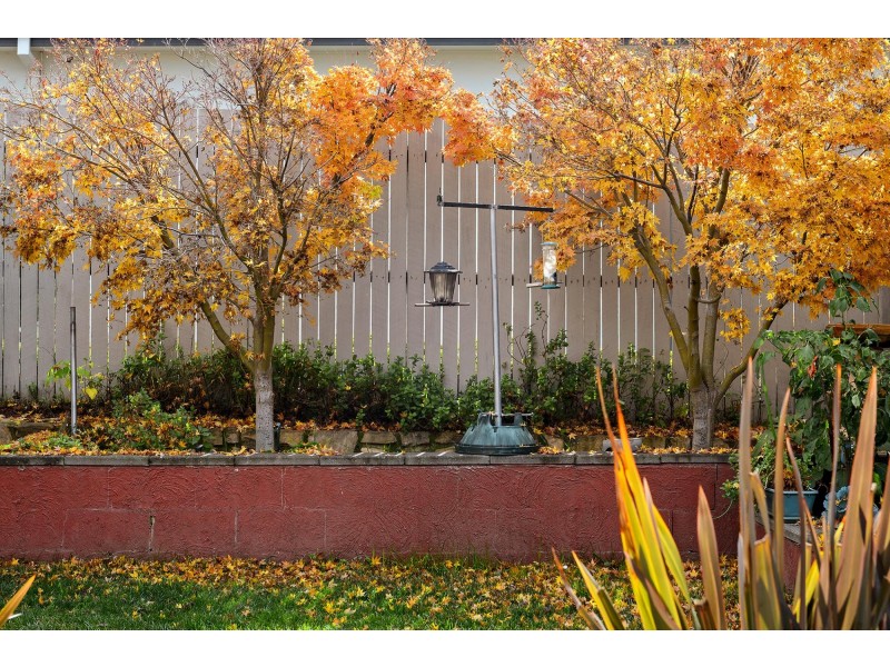 25 Nancy Cato Street, Franklin ACT 2913