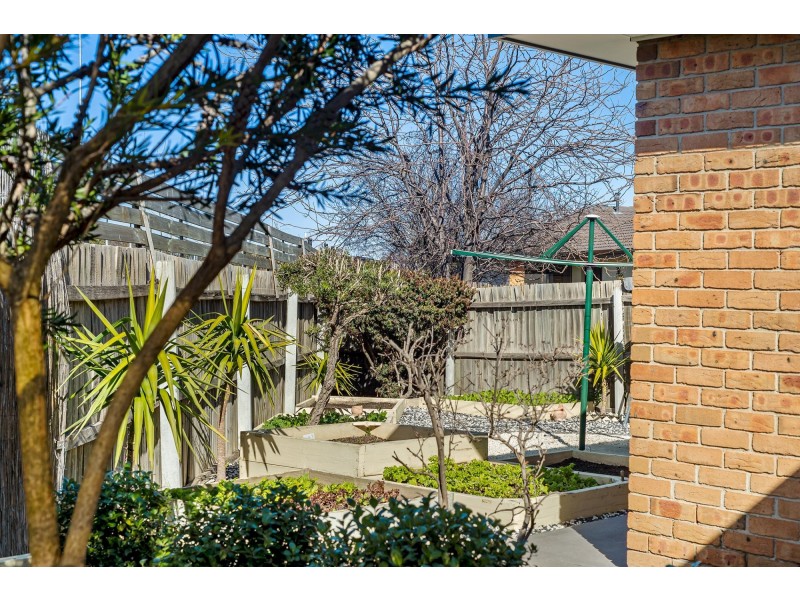 18 Buckingham Street, Amaroo ACT 2914