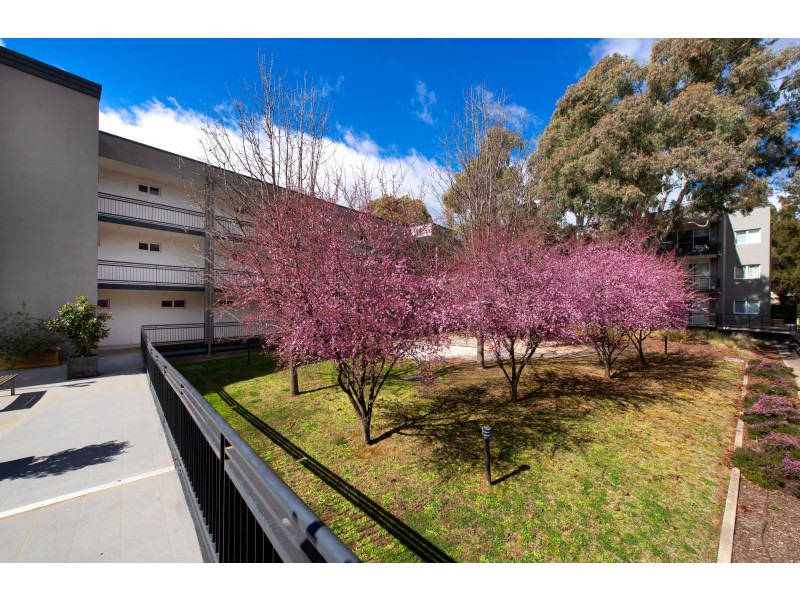 97/68 Hardwick Crescent, Holt ACT 2615