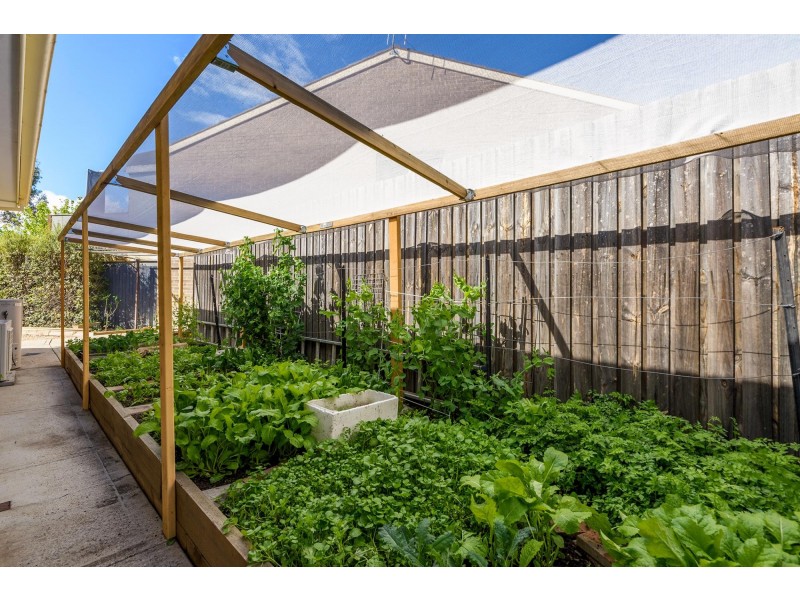 8/36 Crisp Circuit, Bruce ACT 2617