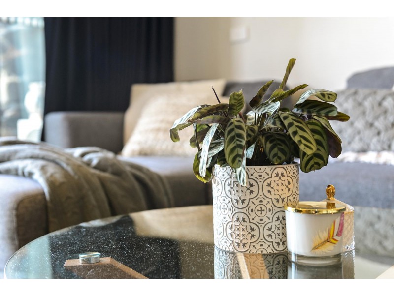 40/303 Flemington Road, Franklin ACT 2913