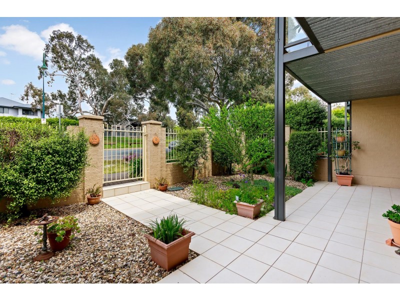 9 Frances Burke Street, Gungahlin ACT 2912