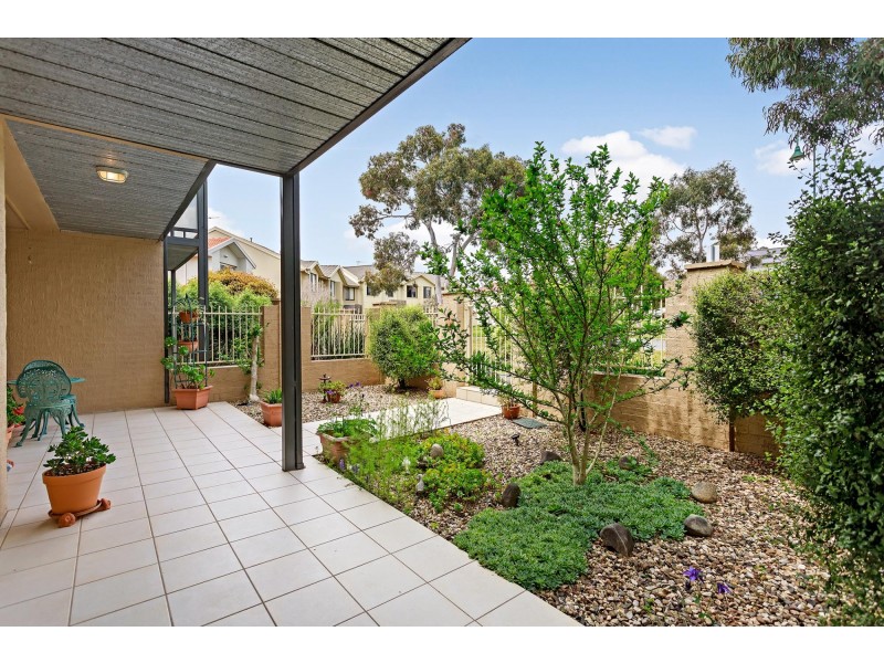 9 Frances Burke Street, Gungahlin ACT 2912