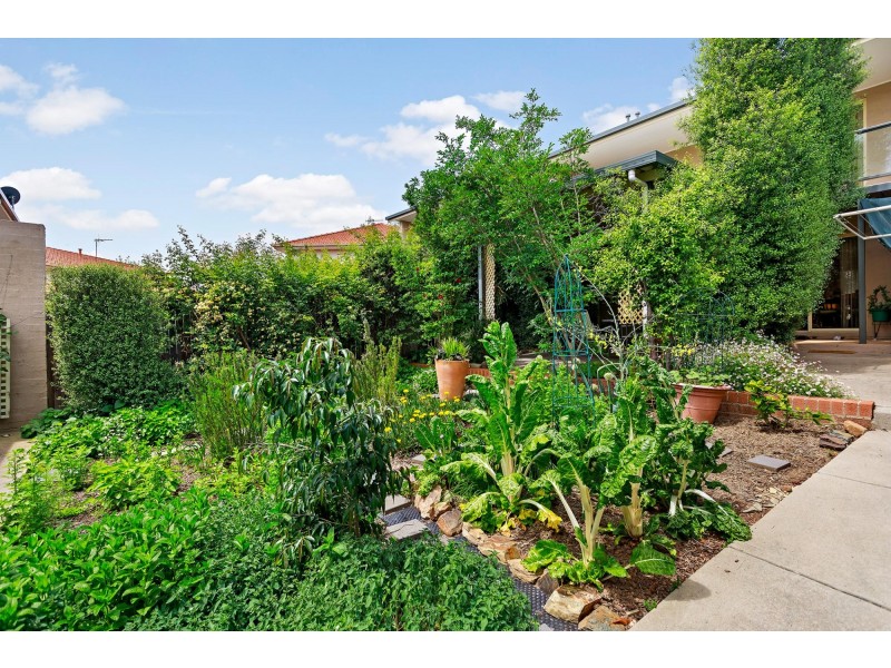 9 Frances Burke Street, Gungahlin ACT 2912