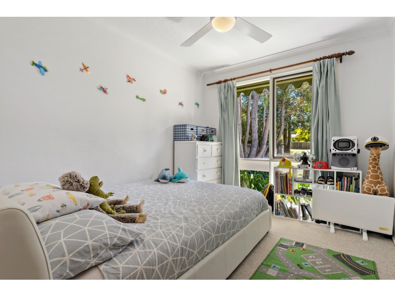 16 Meyers Place, Macgregor ACT 2615
