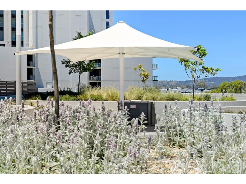 351/1 Anthony Rolfe Avenue, Gungahlin ACT 2912