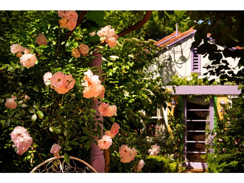 87 Schlich Street, Yarralumla ACT 2600