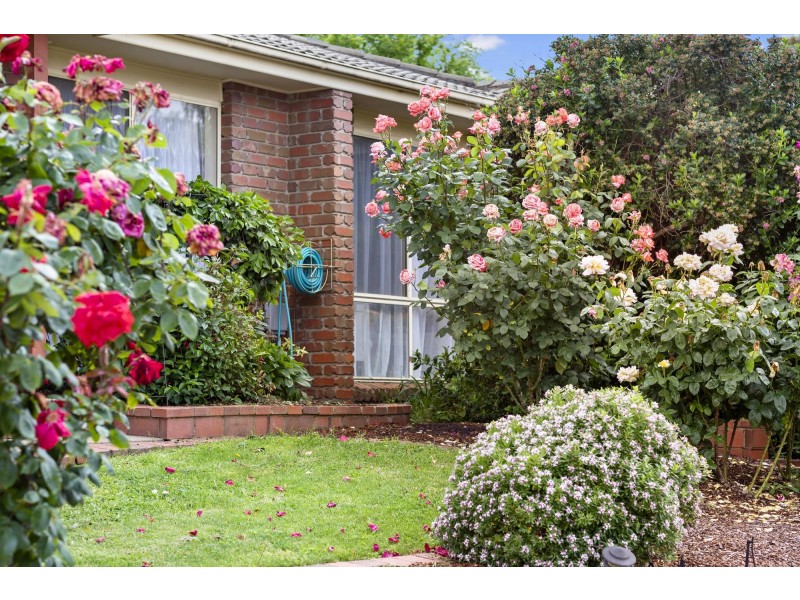 5 Arabanoo Crescent, Ngunnawal ACT 2913