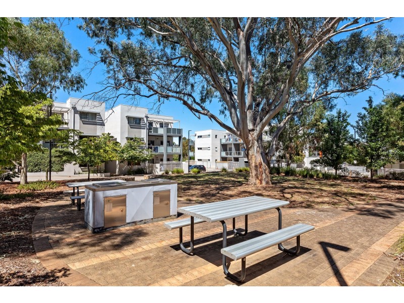 34/75 Elizabeth Jolley Crescent, Franklin ACT 2913