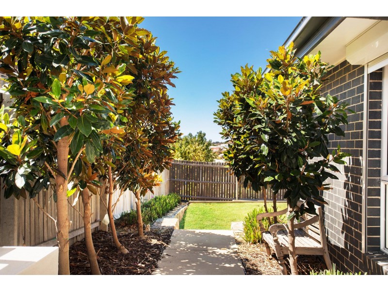 18 Don Bell Street, Bonner ACT 2914