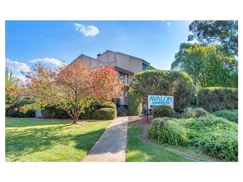 66/53 McMillan Crescent, Griffith ACT 2603