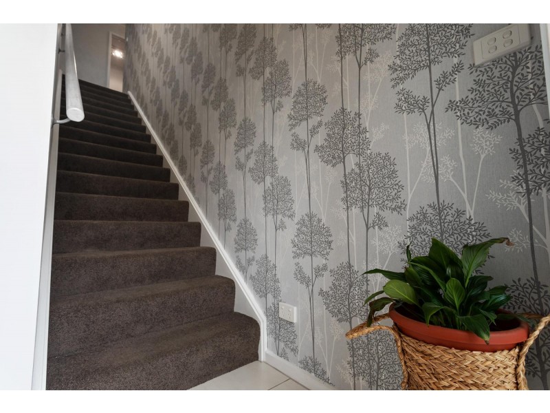 14 Bessell Lane, Casey ACT 2913