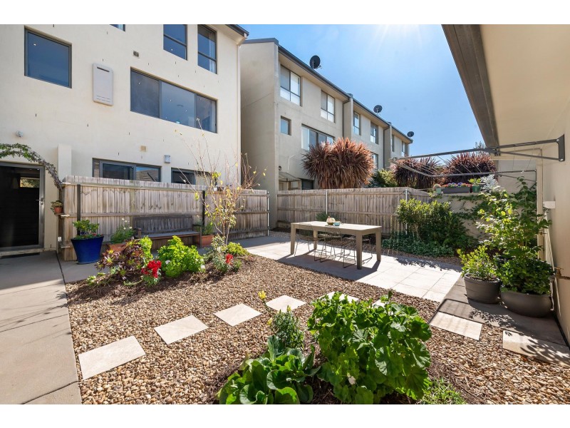 7 Braggett Street, Gungahlin ACT 2912