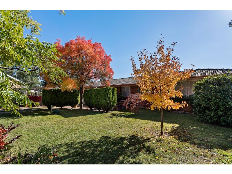 3 Bynoe Place, Page ACT 2614