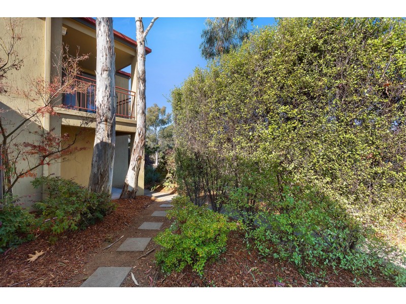 25 Templeton Street, Cook ACT 2614