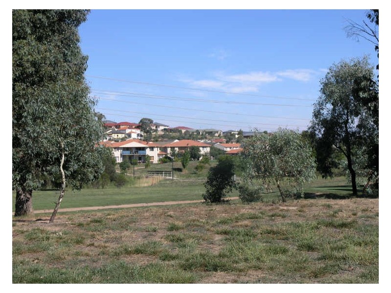 59 Ferguson Circuit, Ngunnawal ACT 2913