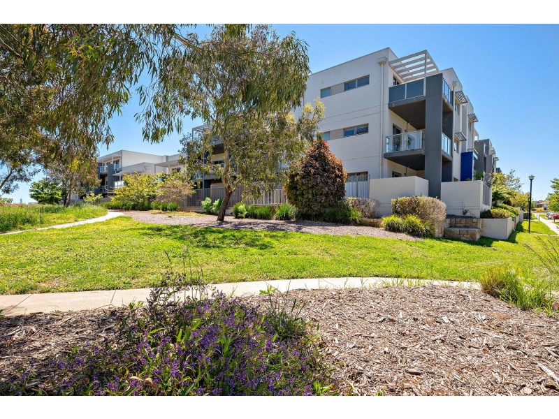 93/75 Elizabeth Jolley Crescent, Franklin ACT 2913