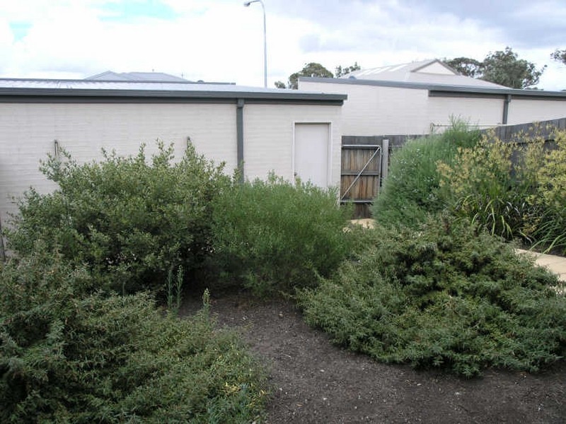 208 Anthony Rolfe Avenue, Gungahlin ACT 2912