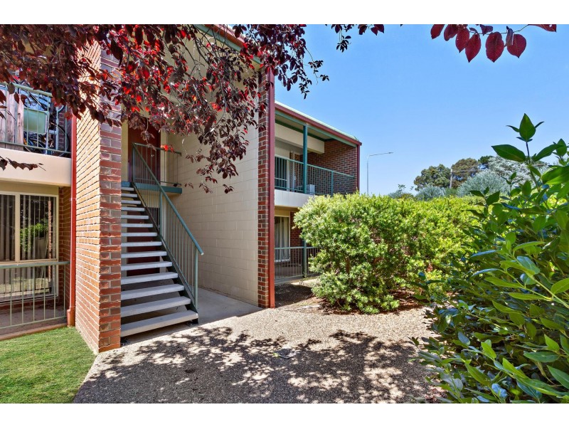 56/112 Baldwin Drive, Kaleen ACT 2617
