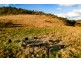 4976 Monaro Highway, Michelago NSW 2620