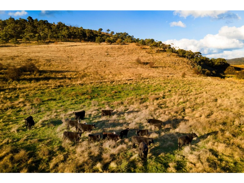 4976 Monaro Highway, Michelago NSW 2620