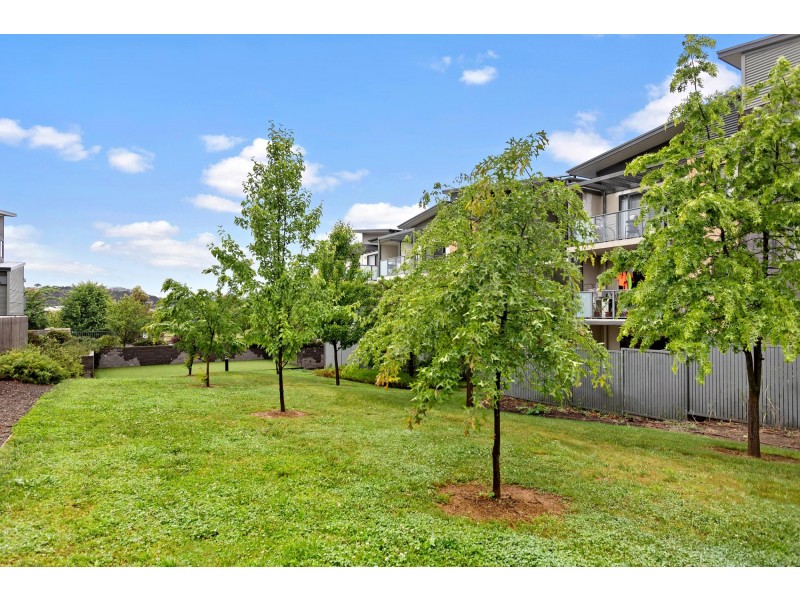 55/289 Flemington Road, Franklin ACT 2913