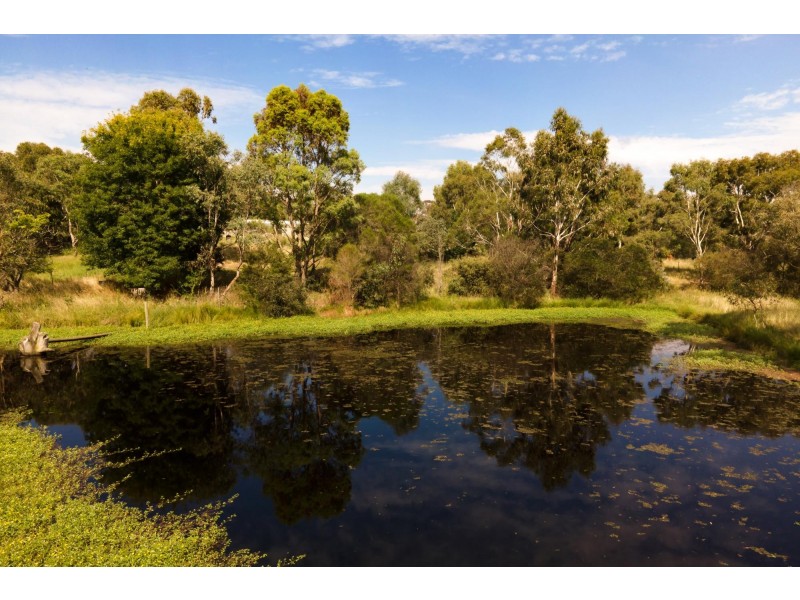 16 Kinsman Drive, Murrumbateman NSW 2582