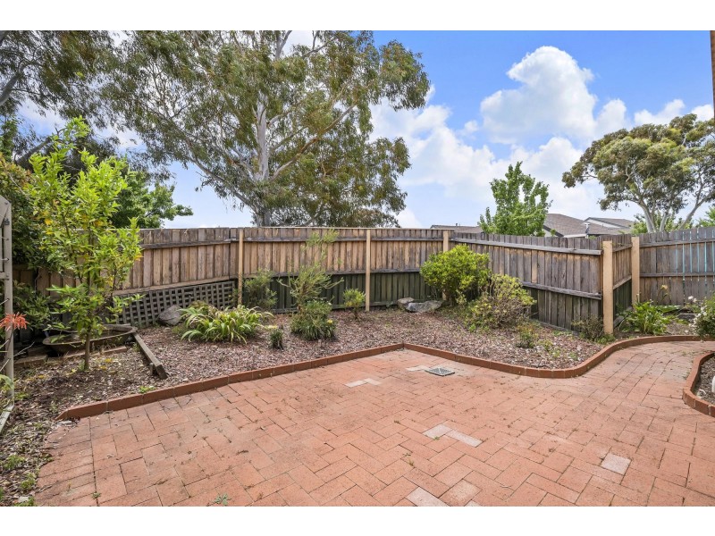 5/3 Barrington Crescent, Amaroo ACT 2914