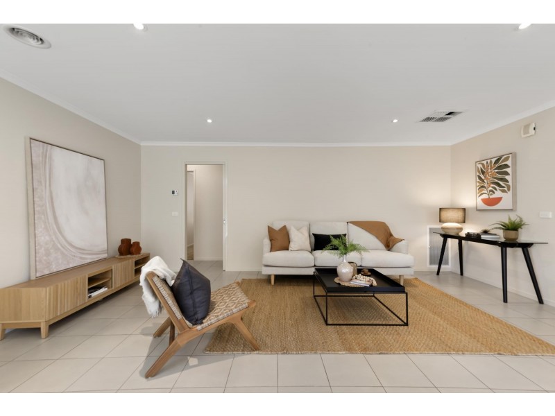 17 Phantom Street, Harrison ACT 2914