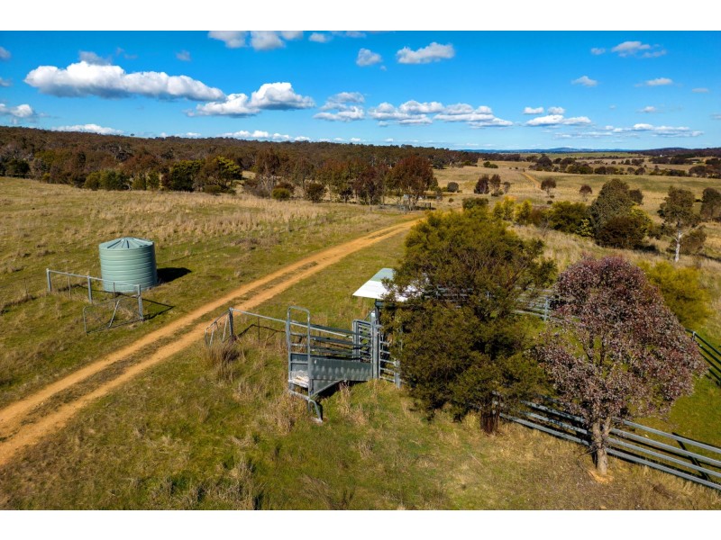 267 Lawtons Road, Bellmount Forest NSW 2581