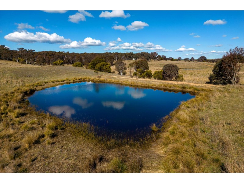 267 Lawtons Road, Bellmount Forest NSW 2581