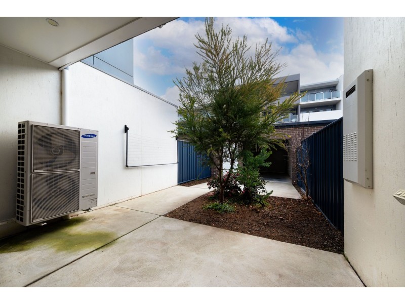 14 Mornington Street, Amaroo ACT 2914