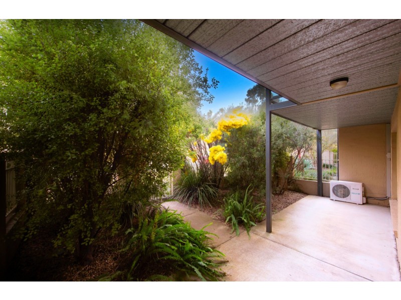 5 Frances Burke Street, Gungahlin ACT 2912