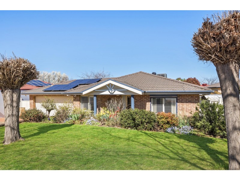 43 Katherine Avenue, Amaroo ACT 2914