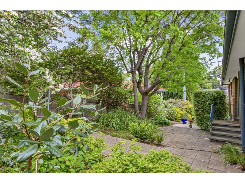 29 Ironside Street, Weston ACT 2611