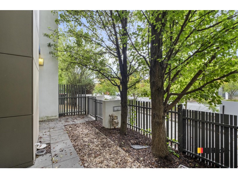 13 Dobikin Street, Crace ACT 2911