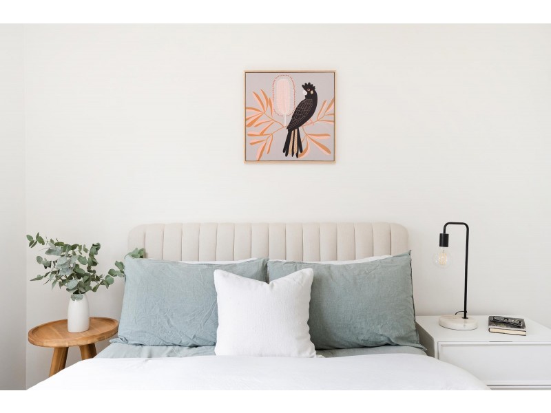 9 Lachlan Street, Macquarie ACT 2614