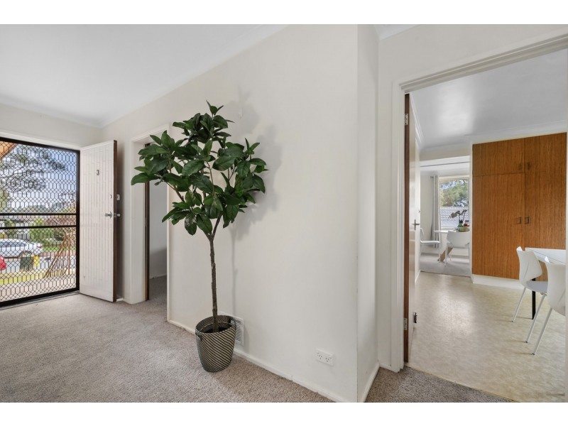 3 Bathurst Place, Macquarie ACT 2614