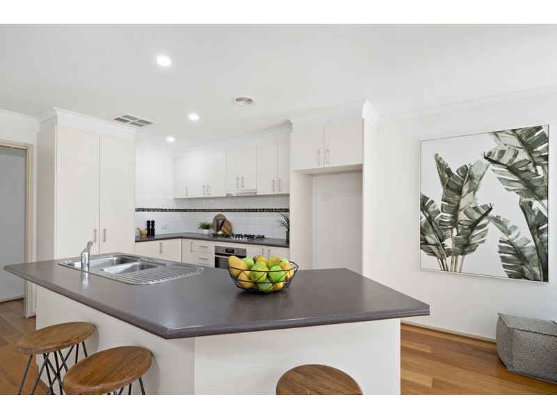 11 Wellesley Street, Amaroo ACT 2914