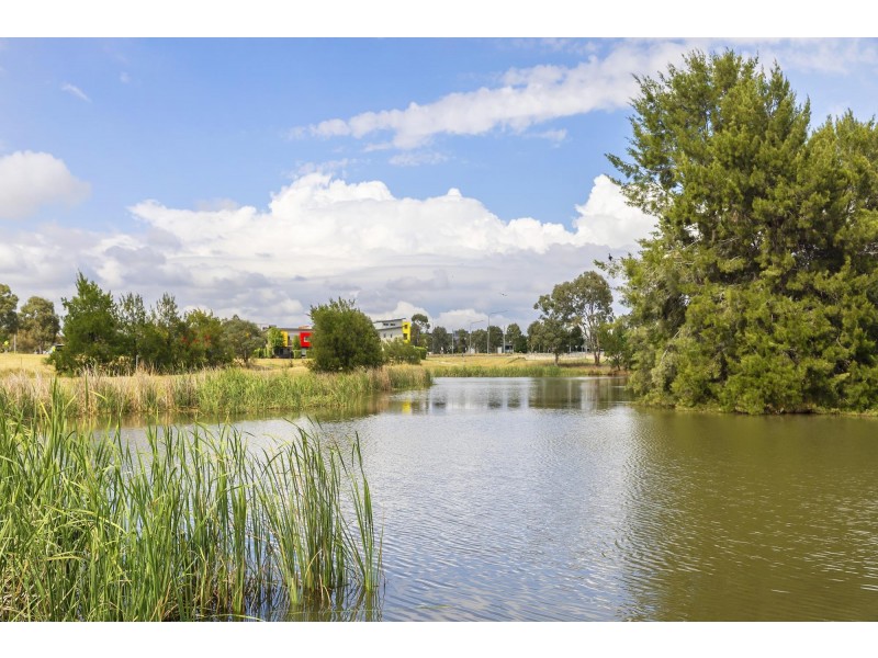 46/17 Wimmera Street, Harrison ACT 2914