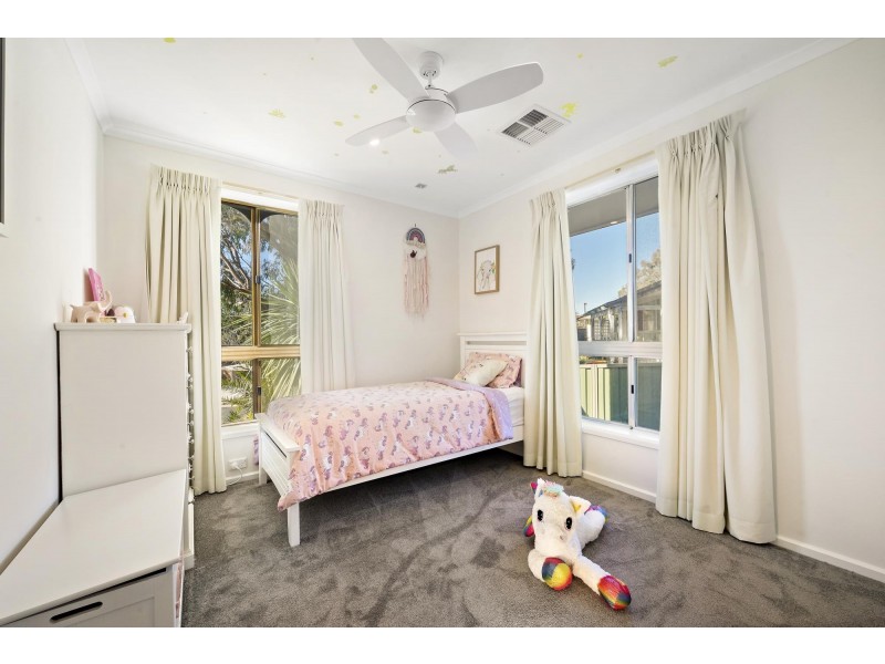 36 Cazaly Close, Holt ACT 2615