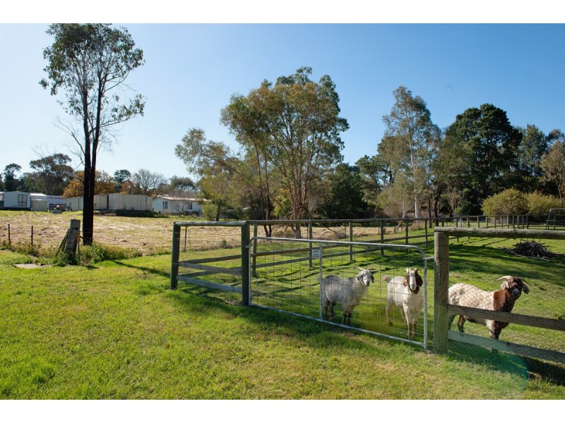 13 Montem Street, Bowning NSW 2582