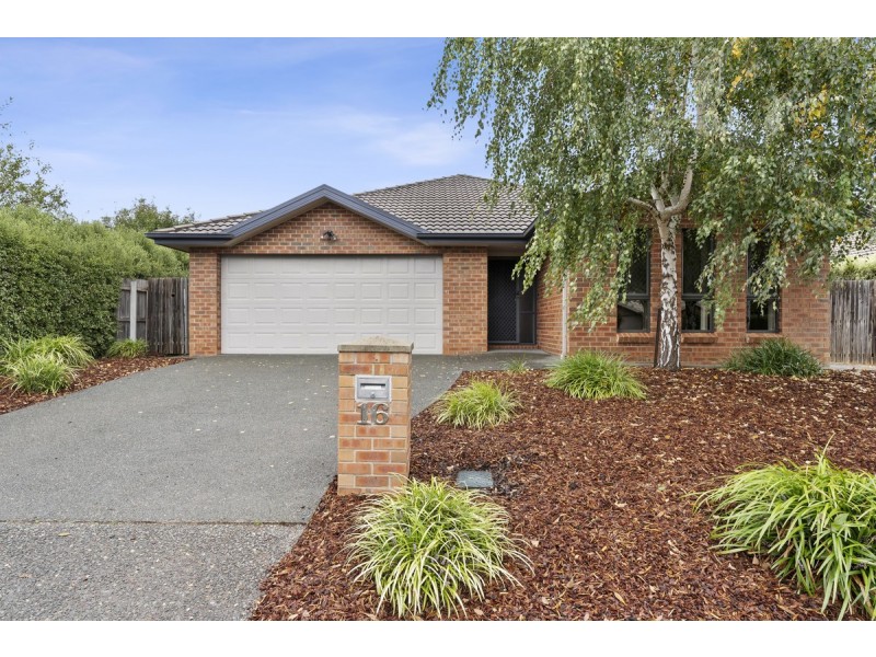 16 Phantom Street, Harrison ACT 2914